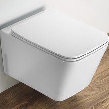 Подвесной унитаз Ceramalux N, безободковый, крышка микролифт, белый матовый, 5170MW