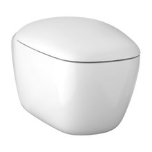 Подвесной унитаз Geberit Citterio 500.510.01.1