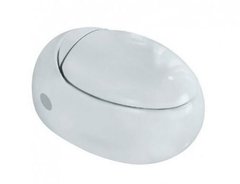 Подвесной унитаз Jaquar Fusion FSS-WHT-29951 с крышкой-сиденьем дюропласт