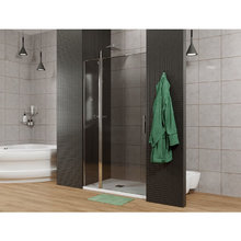 Душевая дверь Allen Brau Priority, 3.31007.00G, 120 см, стекло тонированное, профиль хром