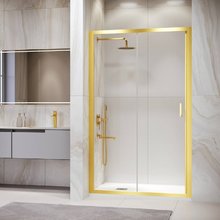 Душевая дверь в нишу RGW PA-14Gb Passage 41081417-16, 170 см, стекло прозрачное, профиль золото