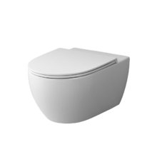Подвесной безободковый унитаз AM.PM Awe C111700SC, FlashClean, крышка микролифт
