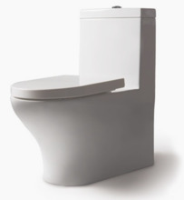 Напольный унитаз Bravat Rael CX01016UW-PA крышка микролифт