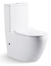 Напольный унитаз Bravat Gina CX01008UW-PA-ENG безободковый, с сиденьем Soft Close