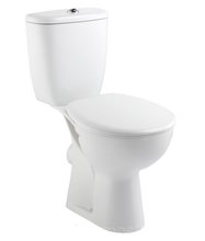 Напольный унитаз Jacob Delafon BRIVE E0383N-00