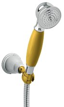 Душевой комплект Damixa Tradition 7651477, 1 режим струи, хром/золото