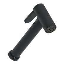 Гигиенический душ Allen Brau Priority 5.31028-31, 1 режим, черный матовый