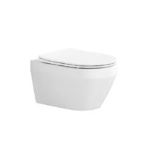 Унитаз подвесной Aquatek Лира AQ1155-00, безободковый, сиденье микролифт, белый