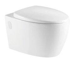 Подвесной безободковый унитаз Azario Deya, крышка микролифт, белый, AZ-2115