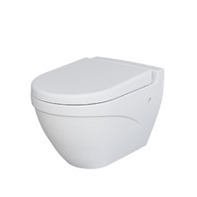 Подвесной унитаз Ambassador Nord 133T20101-132T20101, безободковый, с сиденьем микролифт, цвет белый матовый