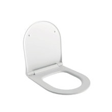 Крышка-сиденье для унитаза Ambassador Queen 112T20101S, быстросъемное с микролифтом, цвет белый матовый