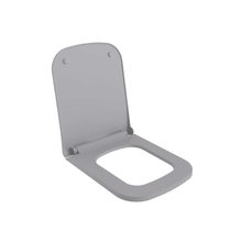 Крышка-сиденье для унитаза Ambassador Benefit 202T20301S, быстросъемное с микролифтом, цвет серый матовый