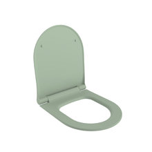 Крышка-сиденье для унитаза Ambassador Abner 102T21001S, быстросъемное с микролифтом, мятный матовый