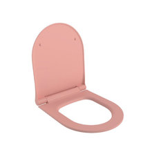 Крышка-сиденье для унитаза Ambassador Abner 102T20901S, быстросъемное с микролифтом, розовый матовый