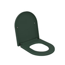 Крышка-сиденье для унитаза Ambassador Abner 102T20701, быстросъемное с микролифтом, цвет зеленый матовый