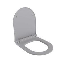 Крышка-сиденье для унитаза Ambassador Abner 102T20301S, быстросъемное с микролифтом, серый матовый