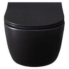 Подвесной унитаз Allen Brau Priority 4.31001.31 36x54 см, безободковый, черный