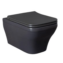 Подвесной унитаз Allen Brau Infinity 4.21011.AN, безободковый, цвет антрацит