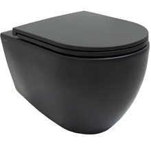 Подвесной унитаз Allen Brau Reality 4.32006.31 безободковый, черный матовый