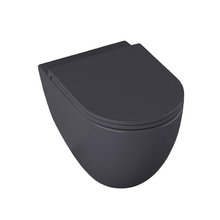 Подвесной унитаз Allen Brau Reality 4.32006.AN безободковый, серый антрацит