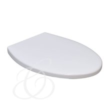 Крышка-сиденье Caprigo Armonia G-011 с микролифтом, УК039313